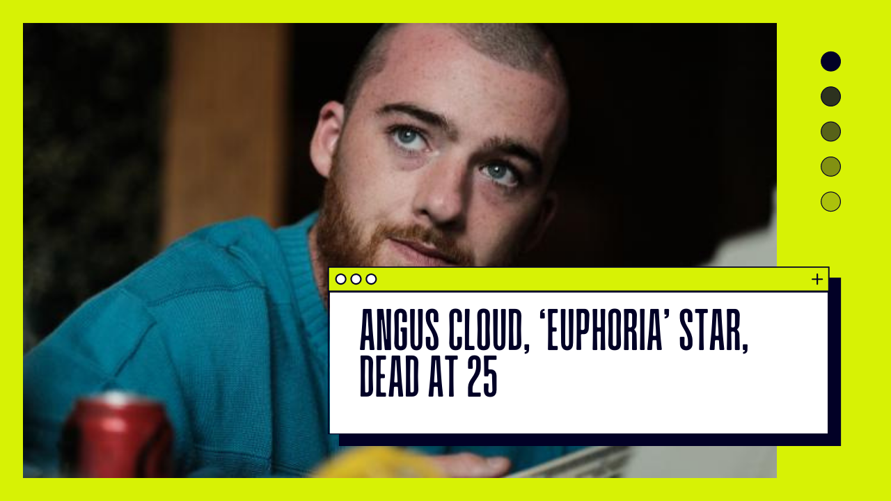 What is euphoria about