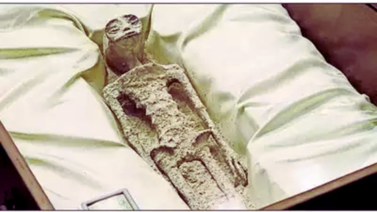 Alien Body Found Mexico: Delving into the Mystery - Nowviralvideo.com