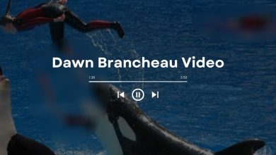 [HOT] Watch Dawn Brancheau Video