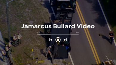Jamarcus Bullard Video: A Encounter with a Giant Alligator