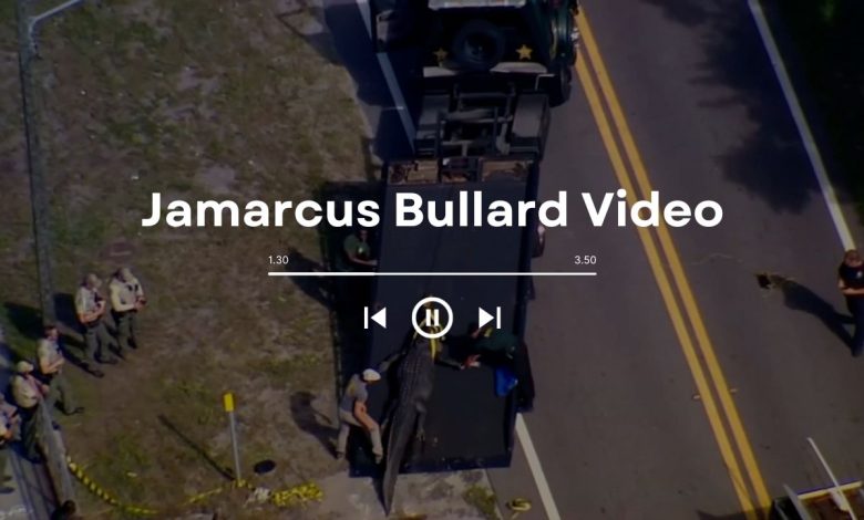Jamarcus Bullard Video: A Encounter with a Giant Alligator