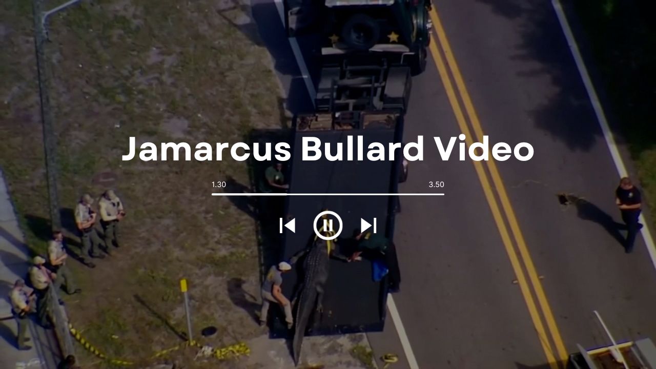 Jamarcus Bullard Video: A Encounter with a Giant Alligator