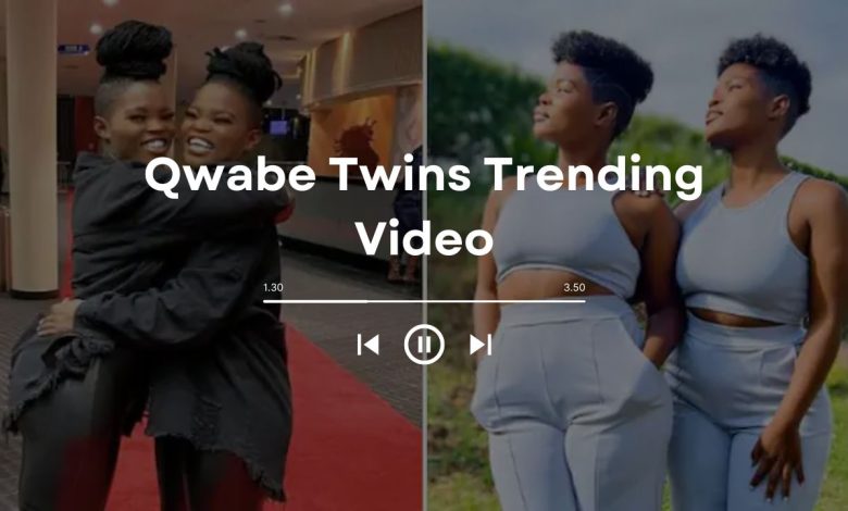 Watch Qwabe Twins Trending Video: The Mystery of the Twins