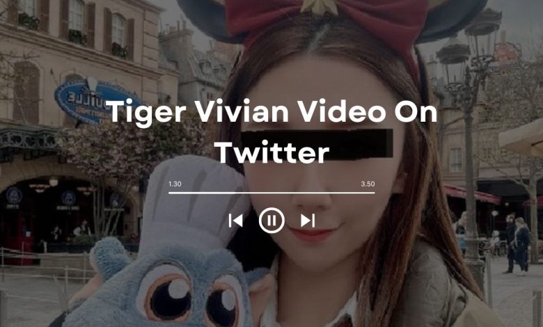 Tiger Vivian Video: A Rare and Amazing Sight