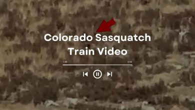 Colorado Sasquatch Train Video On on Social Media