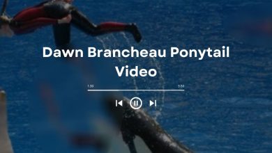 Dawn Brancheau Ponytail Video Leaked On Social