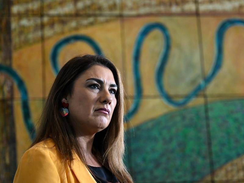 Lidia Thorpe Video: Government condemns neo-Nazi sent to Lidia Thorpe