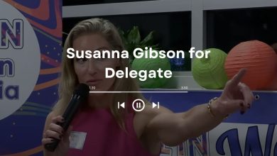 Susanna Gibson for Delegate: Democratic Critique