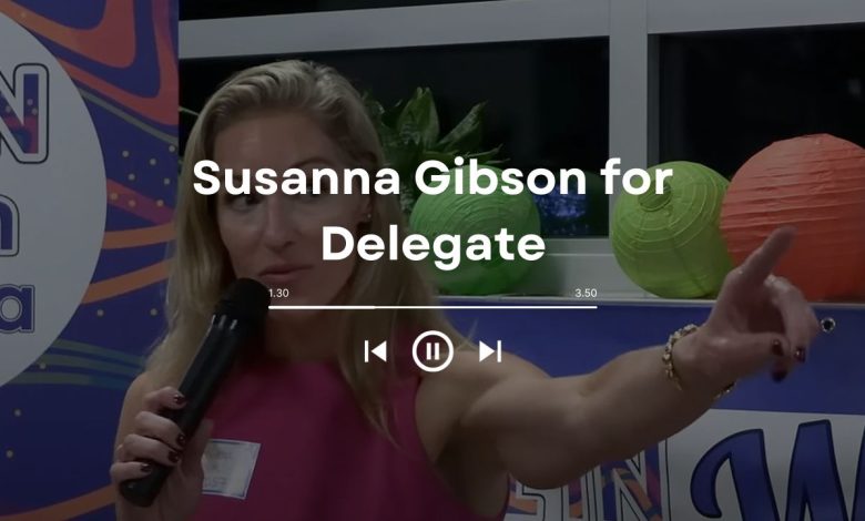Susanna Gibson for Delegate: Democratic Critique