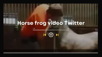 Horse frog video Twitter: Breeders Cup Horse Hacing