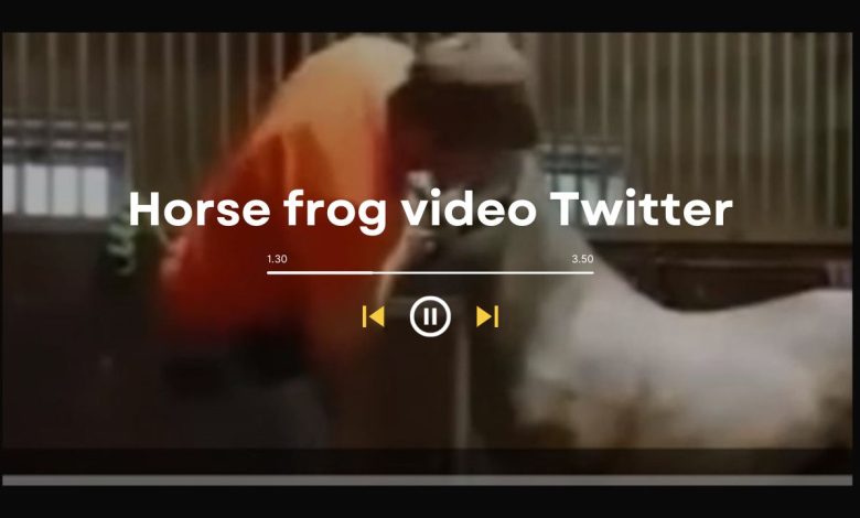 Horse frog video Twitter: Breeders Cup Horse Hacing